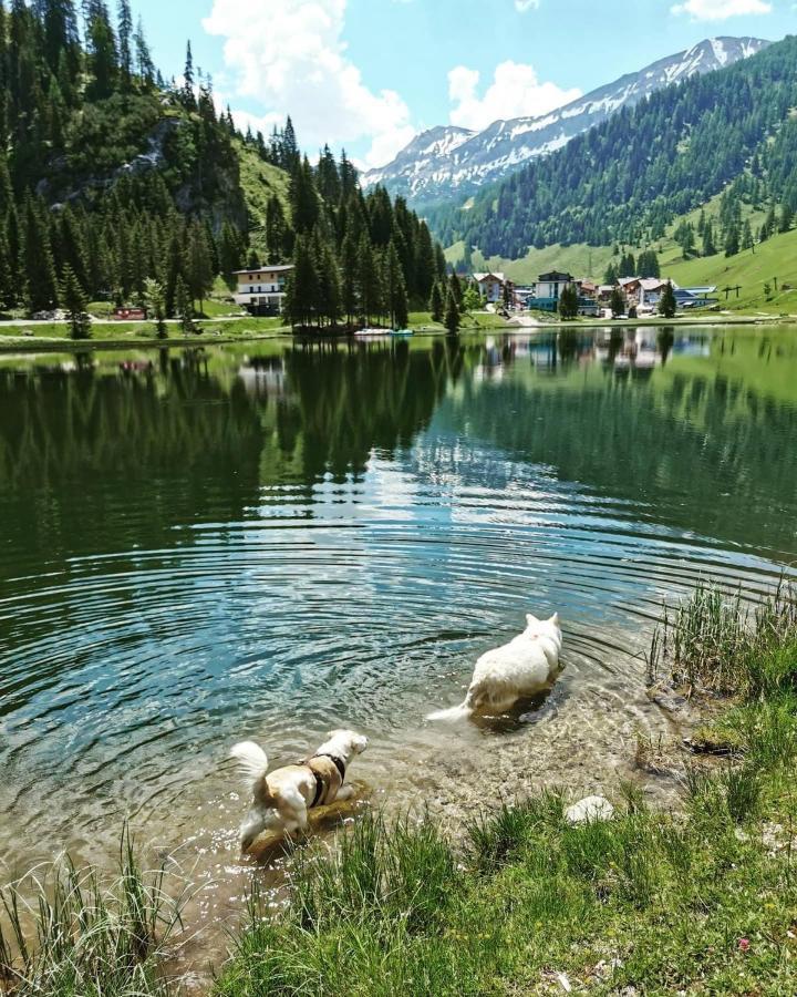 Apart Jasmin Flachau Eksteriør billede